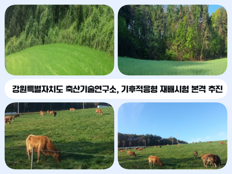 d63a6da5794df496ad6e682f3a9ee489.png