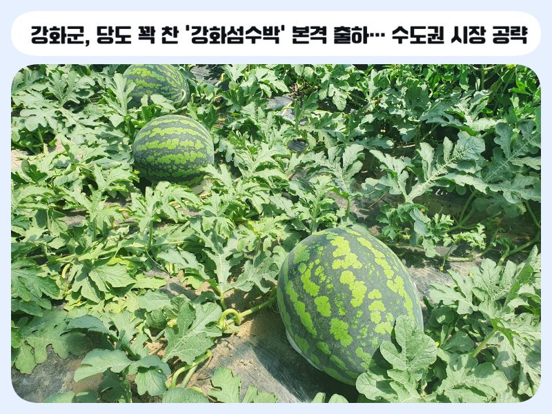 8fdd060df54cdd181872cb2ac0c6a759.png
